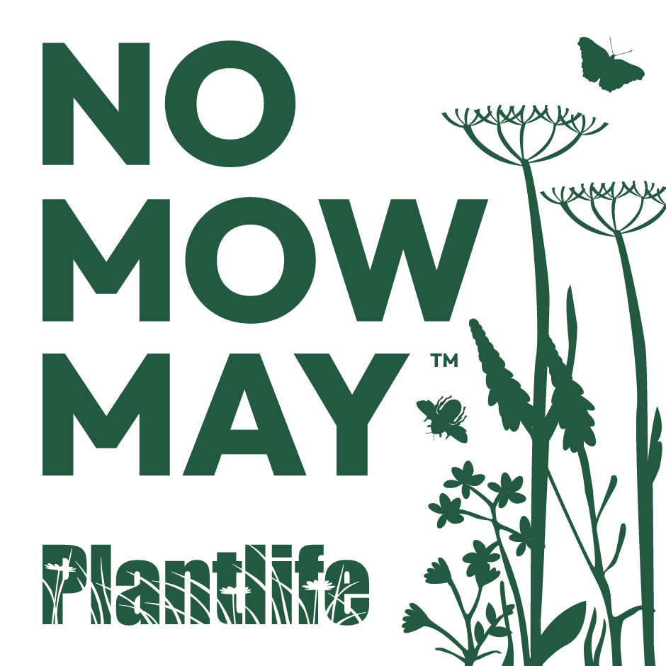 No Mow May Logo