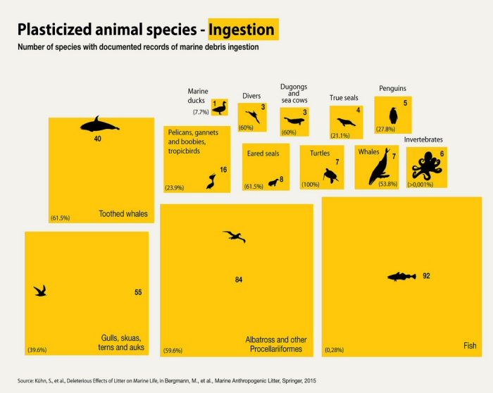 Numbers Of Animal Species Which Have Ingested Marine Debris - 10 Shocking Infographics About Plastic Waste In The Oceans