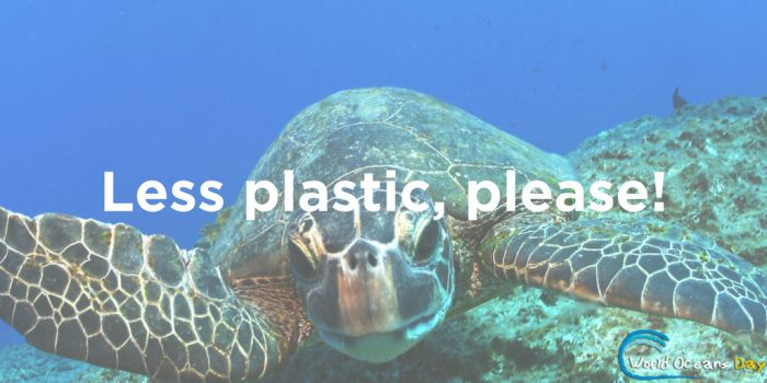World Oceans Day Less Plastic Please!
